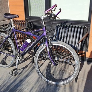 1985 Cannondale Killer V900 Purple