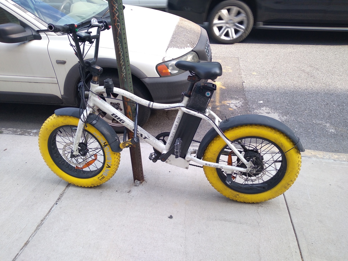 big cat mountain bike