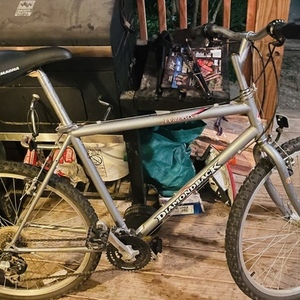 2018 Diamondback Outlook Silver, gray or bare metal