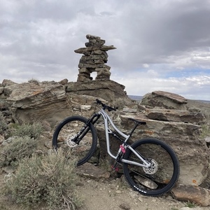 2022 Ibis RIPLEY Silver, gray or bare metal