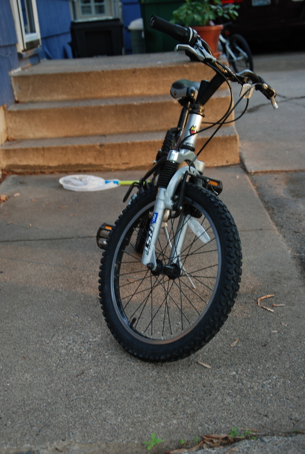 pink electric bike for adults