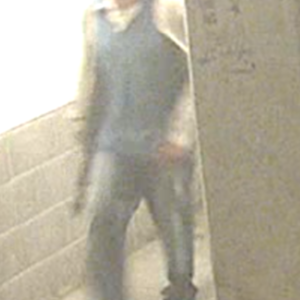 2010 Cannondale Caad9 5 Silver or Gray, Red, and White