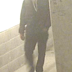 2010 Cannondale Caad9 5 Silver or Gray, Red, and White