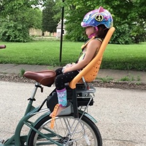 2016 Virtue Gondoliere cargo bike (front storage) Green