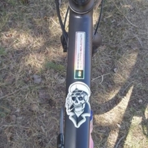 2020 Specialized sirrus Black