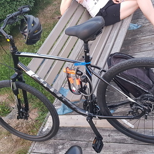 2021 Giant Cypress DX Black and Silver, gray or bare metal