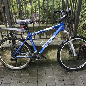 2010 Giant Yukon FX Blue