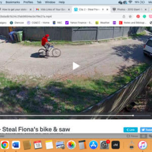 2010 Giant Yukon FX Blue