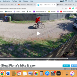 2010 Giant Yukon FX Blue