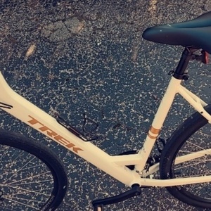 2021 Trek Verve 1 Disc Lowstep White and Yellow or Gold