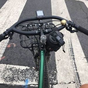 2014 Surly Krampus Green