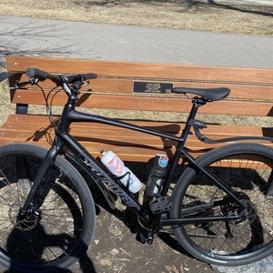 2020 Specialized Black frame boy bike Black