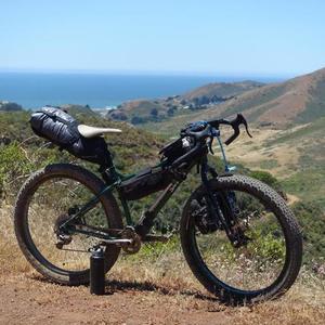 2014 Surly Krampus Green