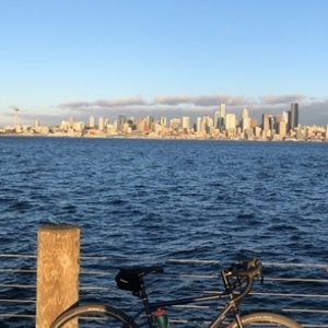 2018 REI ADV 1.1 Bi Blue