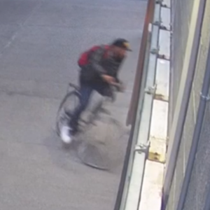 2014 Novara Big Buzz Black