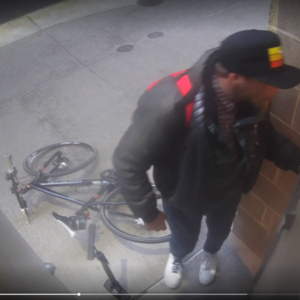 2014 Novara Big Buzz Black