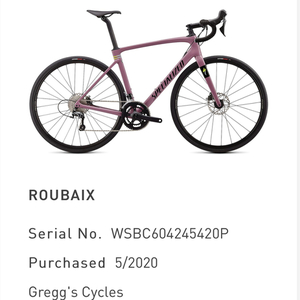 2020 Specialized roubaix Purple