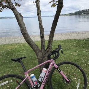 2020 Specialized roubaix Purple