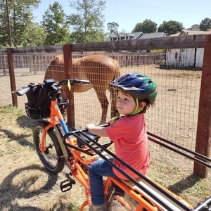 2022 Rad Power Bikes 2022 Orange