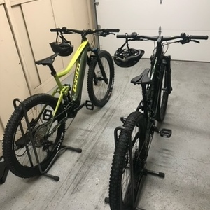 Giant Black