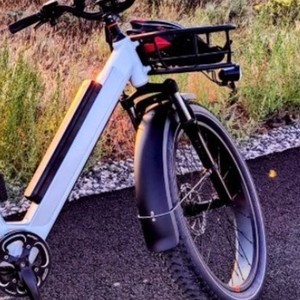 2022 Rad Power Bikes Rover6 Step through White