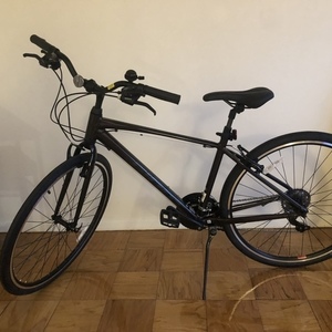 2021 Giant Escape Purple