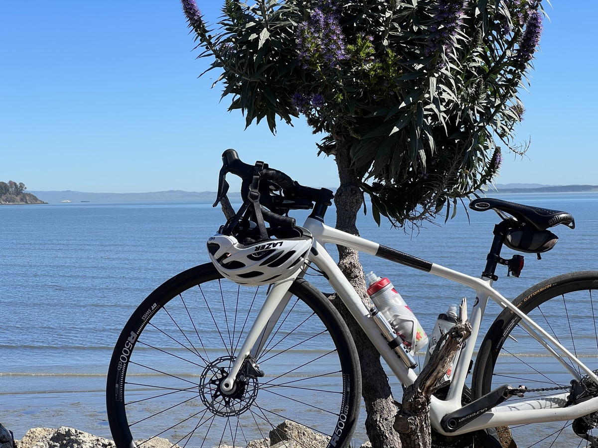 orbea avant m20 disc 2018