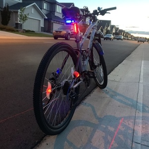 2017 CCM Ds-650 Silver, gray or bare metal, Blue, and Black