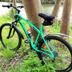2016 b'Twin Rockrider Green