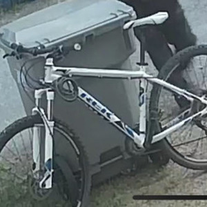 Trek Mamba White and Blue