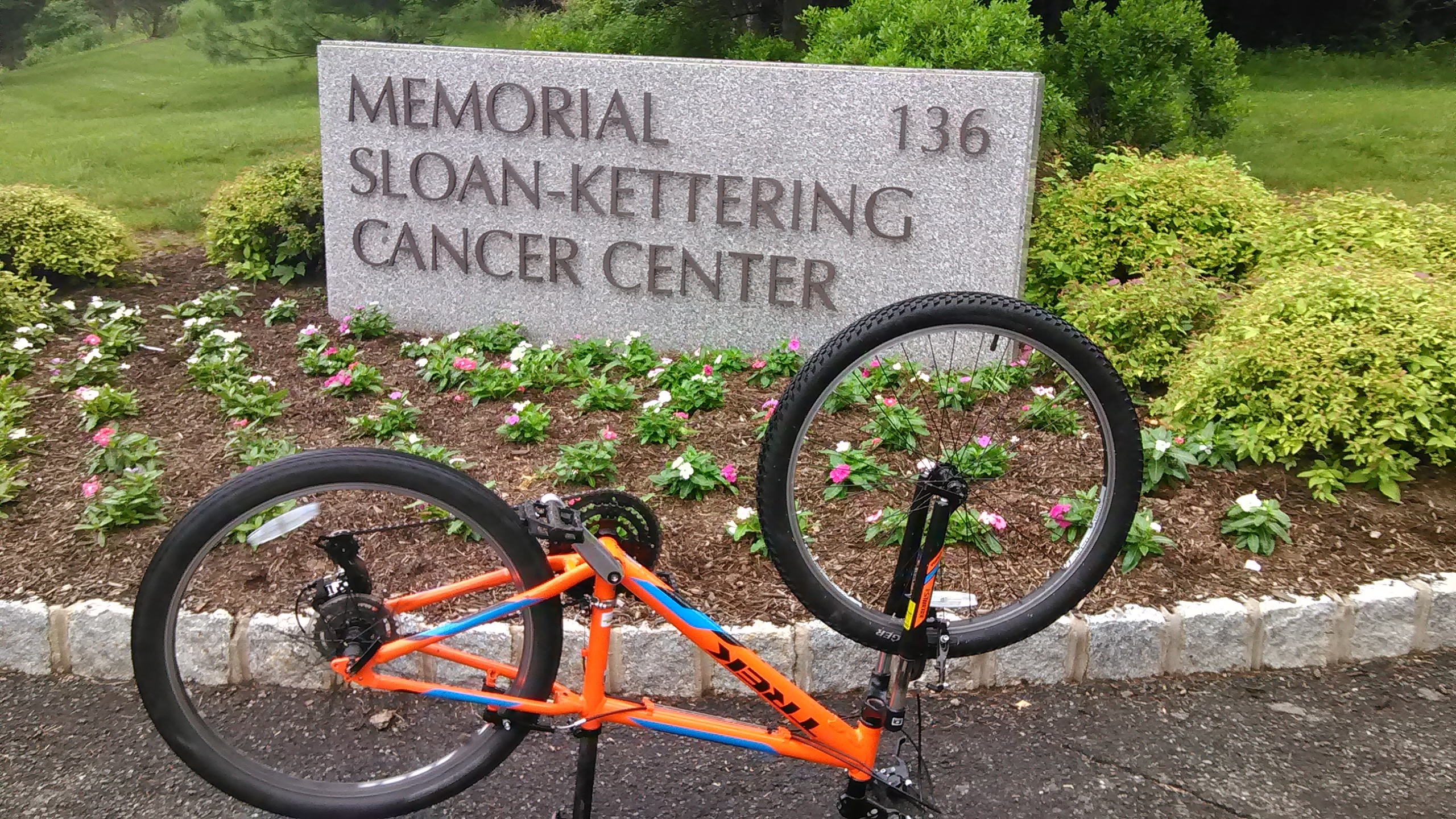 Stolen 2016 Trek 3500 13 Fire brand