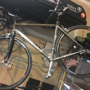 2010 Specialized Allez Triple Silver, gray or bare metal