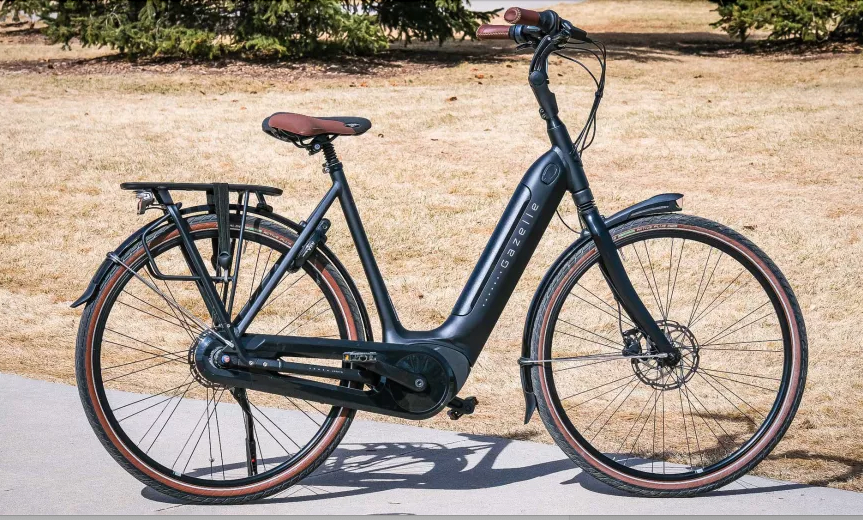 Gazelle Arroyo C8 Hmb Elite 2022 Test