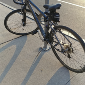 2013 Raleigh Misceo Trail 1.0 Silver, gray or bare metal