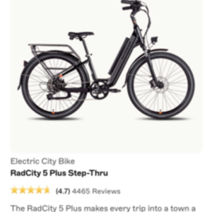 2021 Rad Power Bikes RadCity Step Through Black