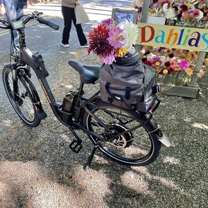 2021 Rad Power Bikes RadCity Step Through Black