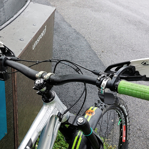 2019 Nicolai/Geometron G1 Silver, gray or bare metal