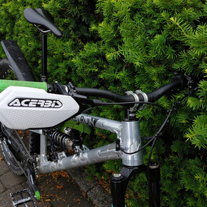 2019 Nicolai/Geometron G1 Silver, gray or bare metal