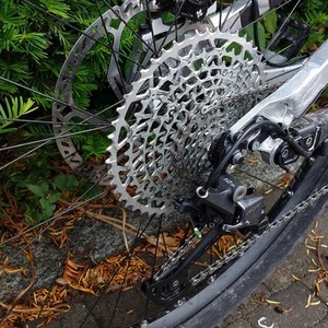 2019 Nicolai/Geometron G1 Silver, gray or bare metal