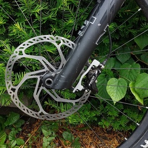 2019 Nicolai/Geometron G1 Silver, gray or bare metal