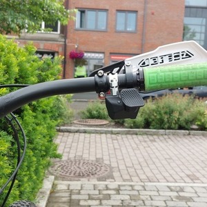 2019 Nicolai/Geometron G1 Silver, gray or bare metal