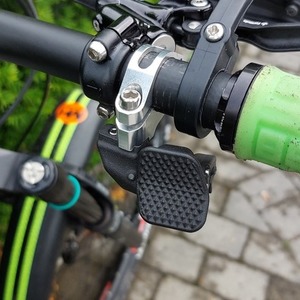 2019 Nicolai/Geometron G1 Silver, gray or bare metal