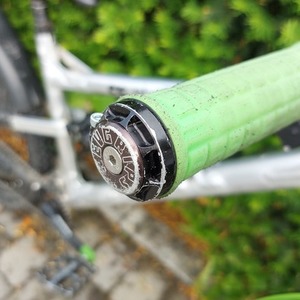 2019 Nicolai/Geometron G1 Silver, gray or bare metal