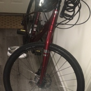 2021 Trek Trek verve 2 disc low step Red