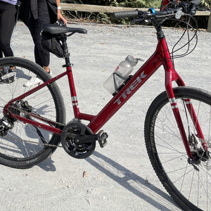 2021 Trek Trek verve 2 disc low step Red