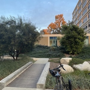 2011 Trek Silver, gray or bare metal