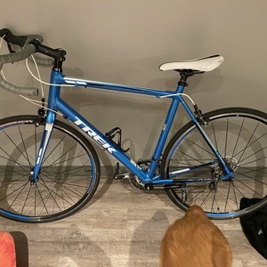 2022 Trek Blue