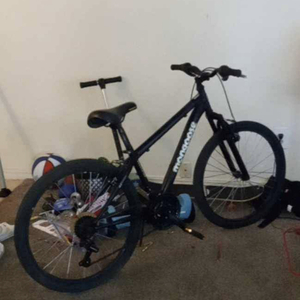 Mongoose Other Black