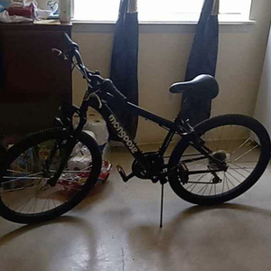 Mongoose Other Black