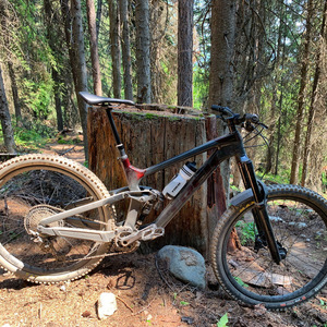 2021 Trek Slash 9.8 XT Silver, gray or bare metal